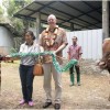 perwakilan PT Cargill Indonesia saat menyerahkan sapi potong untuk program penggemukan.